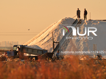 Workers unload harvested sea salt at the Dongfeng Salt Farm in Hetao Street, Chengyang district, Qingdao, China, on November 5, 2024. (