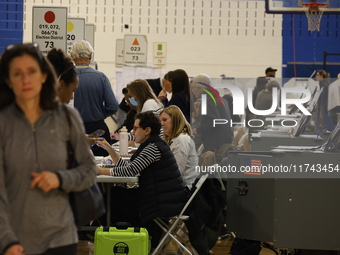 Americans cast their ballots in the presidential election in downtown New York, United States, on November 5, 2024, at the Institute of Art...