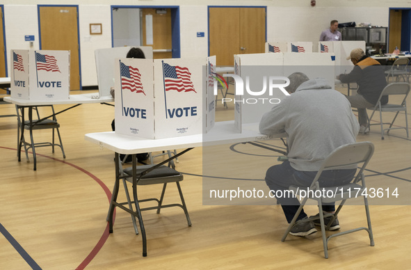 People cast their votes on Election Day in Fairfax County, Virginia, on November 5, 2024. 