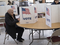 People cast their votes on Election Day in Fairfax County, Virginia, on November 5, 2024. (