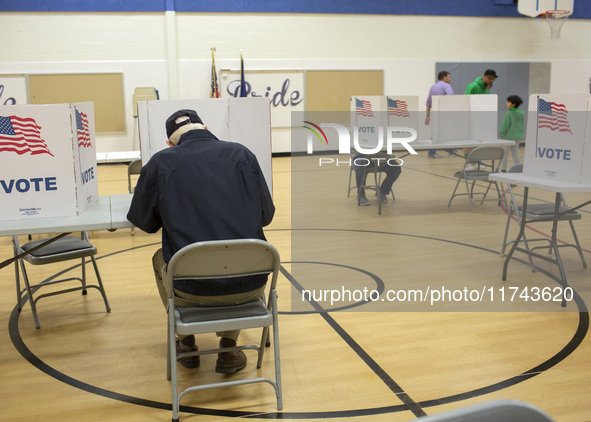 People cast their votes on Election Day in Fairfax County, Virginia, on November 5, 2024. 