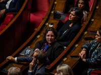 Crielle Chatelain, President of the Ecologist Group, participates in the question session to the government in Parliament in Paris, France,...