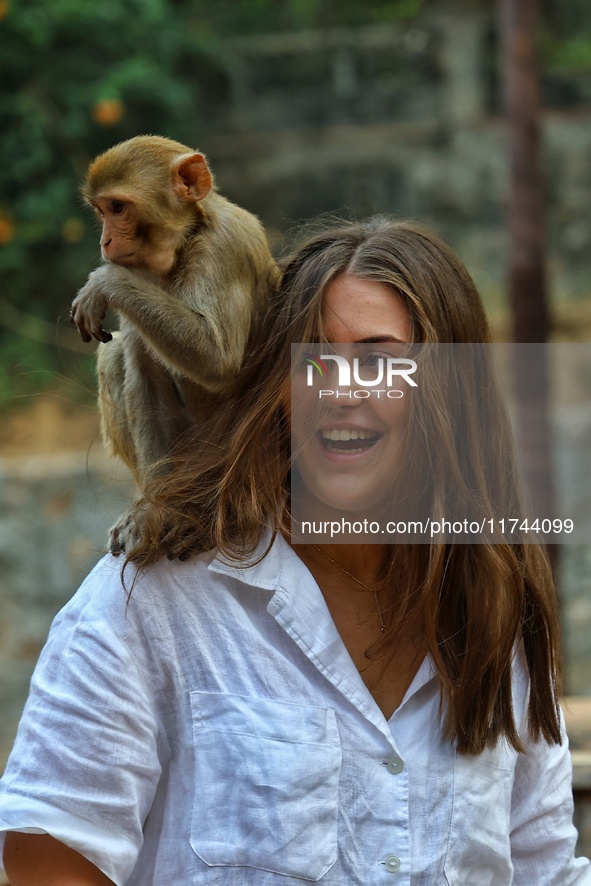 A tourist poses with a macaque at the Shrine Galta Ji Temple in Jaipur, Rajasthan, India, on November 5, 2024. 