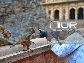 A photographer takes a photo of a macaque at the Shrine Galta Ji Temple in Jaipur, Rajasthan, India, on November 5, 2024. (