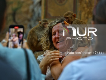 A tourist poses with a macaque at the Shrine Galta Ji Temple in Jaipur, Rajasthan, India, on November 5, 2024. (