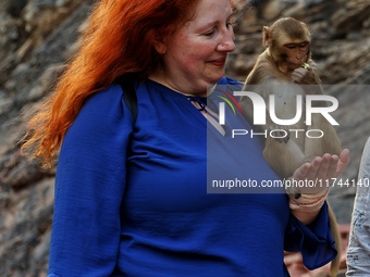 A tourist poses with a macaque at the Shrine Galta Ji Temple in Jaipur, Rajasthan, India, on November 5, 2024. (