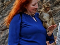 A tourist poses with a macaque at the Shrine Galta Ji Temple in Jaipur, Rajasthan, India, on November 5, 2024. (