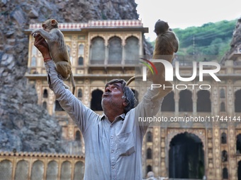 A man with macaques is at the Shrine Galta Ji Temple in Jaipur, Rajasthan, India, on November 5, 2024. (