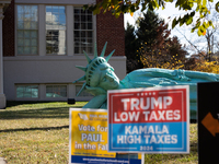 Zaq Landsberg's ''Reclining Liberty'' statue lies on the lawn behind campgain signs at the Museum of Contemporary Art, a polling place in Ar...