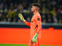 Alexander Meyer of Borussia Dortmund  gestures during the Champions League Round 4 match between Borussia Dortmund v SK Sturm Graz at the Si...