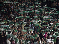 Sporting CP fans show their support during the UEFA Champions League match between Sporting CP and Manchester City at Jose Alvalade Stadium...