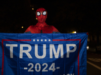 A person dressed as Spiderman holds a banner with the text ''Trump 2024'' in Black Lives Matter Plaza in Washington DC, USA, on November 5,...