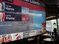 Democrat Party supporters gather at a roadhouse restaurant to view U.S. media coverage of the U.S. presidential election in Bangkok, Thailan...