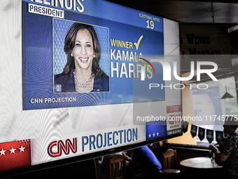 Democrat Party supporters gather at a roadhouse restaurant to view U.S. media coverage of the U.S. presidential election in Bangkok, Thailan...