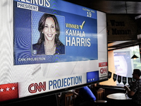 Democrat Party supporters gather at a roadhouse restaurant to view U.S. media coverage of the U.S. presidential election in Bangkok, Thailan...