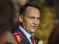 Polish Minister of Foreign Affairs Radoslaw Sikorski holds a press conference outside the Ministry of Foreign Affairs building in Warsaw, Po...