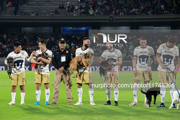 Players of Pumas de la UNAM are with dogs for adoption before the match corresponding to round 16 of the Apertura 2024 tournament of the Lig...