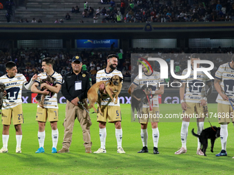 Players of Pumas de la UNAM are with dogs for adoption before the match corresponding to round 16 of the Apertura 2024 tournament of the Lig...