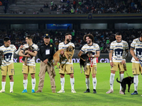 Players of Pumas de la UNAM are with dogs for adoption before the match corresponding to round 16 of the Apertura 2024 tournament of the Lig...