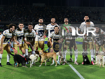 Players of the Pumas de la UNAM pose with dogs for adoption prior to the match corresponding to matchday 16 of the Apertura 2024 tournament...