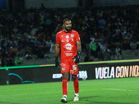 Goalkeeper Guillermo Allison #25 of Queretaro is seen during the match corresponding to round 16 of the Apertura 2024 tournament of the Liga...