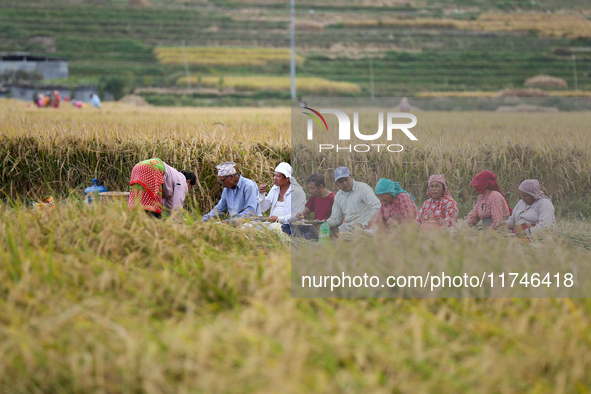 Nepali farmers have lunch in the paddy field, taking a break from their work in Khokana, Lalitpur, Nepal, on November 6, 2024. 