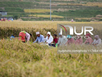 Nepali farmers have lunch in the paddy field, taking a break from their work in Khokana, Lalitpur, Nepal, on November 6, 2024. (