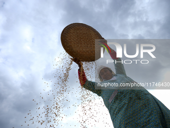 A Nepali farmer winnows rice grains to separate them from the husks in a field in Khokana, Lalitpur, Nepal, on November 6, 2024. (