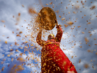 A Nepali farmer winnows rice grains to separate them from the husks in a field in Khokana, Lalitpur, Nepal, on November 6, 2024. (