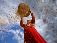 A Nepali farmer winnows rice grains to separate them from the husks in a field in Khokana, Lalitpur, Nepal, on November 6, 2024. (