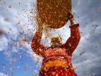 A Nepali farmer winnows rice grains to separate them from the husks in a field in Khokana, Lalitpur, Nepal, on November 6, 2024. (