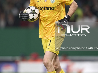 Franco Israel of Sporting CP plays during the UEFA Champions League match between Sporting CP and Manchester City at Jose Alvalade Stadium i...