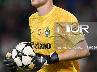 Franco Israel of Sporting CP plays during the UEFA Champions League match between Sporting CP and Manchester City at Jose Alvalade Stadium i...