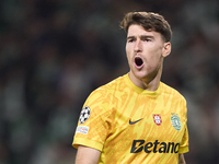 Franco Israel of Sporting CP celebrates after Maxi Araujo (not in frame) scores their side's second goal during the UEFA Champions League ma...