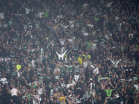 Sporting CP fans show their support during the UEFA Champions League match between Sporting CP and Manchester City at Jose Alvalade Stadium...