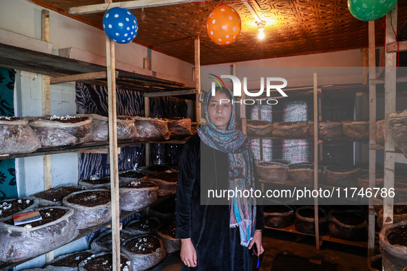 Fozia Parvez, a 22-year-old woman, works in her mushroom farming unit in Baramulla, Jammu and Kashmir, India, on November 6, 2024. In the In...