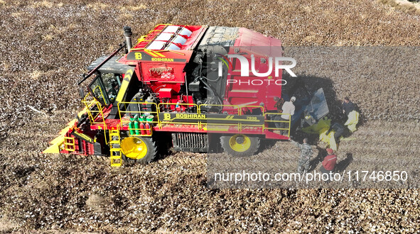 A farmer drives a large cotton picker to harvest cotton in Zhangye, China, on November 6, 2024. 