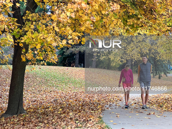 People wear shorts and walk in a park among colorful trees during the autumn season in Toronto, Ontario, Canada, on November 5, 2024. Toront...