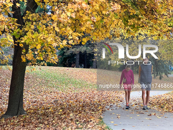 People wear shorts and walk in a park among colorful trees during the autumn season in Toronto, Ontario, Canada, on November 5, 2024. Toront...