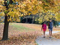 People wear shorts and walk in a park among colorful trees during the autumn season in Toronto, Ontario, Canada, on November 5, 2024. Toront...