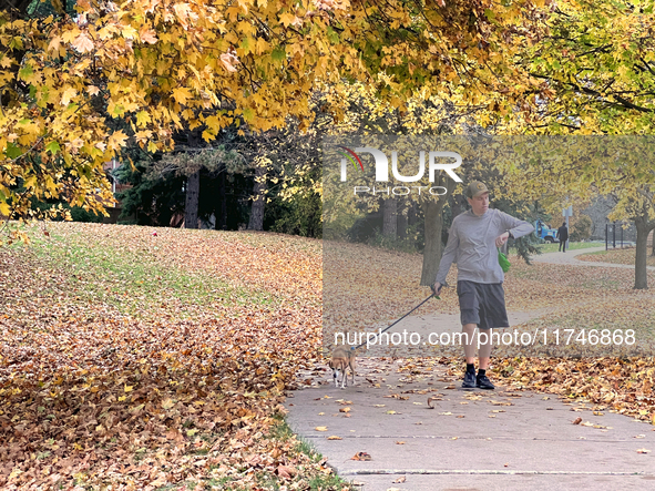 A man walks his dog in a park among colorful trees during the autumn season in Toronto, Ontario, Canada, on November 5, 2024. Toronto breaks...