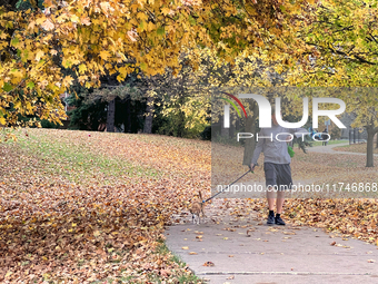 A man walks his dog in a park among colorful trees during the autumn season in Toronto, Ontario, Canada, on November 5, 2024. Toronto breaks...