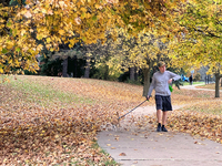 A man walks his dog in a park among colorful trees during the autumn season in Toronto, Ontario, Canada, on November 5, 2024. Toronto breaks...