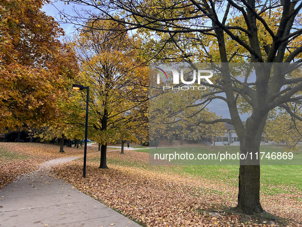 Colorful trees appear during the autumn season in Toronto, Ontario, Canada, on November 5, 2024. Toronto breaks a 65-year-old temperature re...