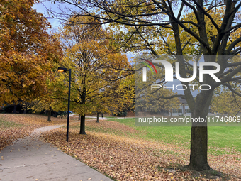 Colorful trees appear during the autumn season in Toronto, Ontario, Canada, on November 5, 2024. Toronto breaks a 65-year-old temperature re...