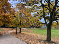 Colorful trees appear during the autumn season in Toronto, Ontario, Canada, on November 5, 2024. Toronto breaks a 65-year-old temperature re...