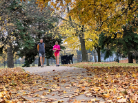 People wear shorts and walk in a park among colorful trees during the autumn season in Toronto, Ontario, Canada, on November 5, 2024. Toront...