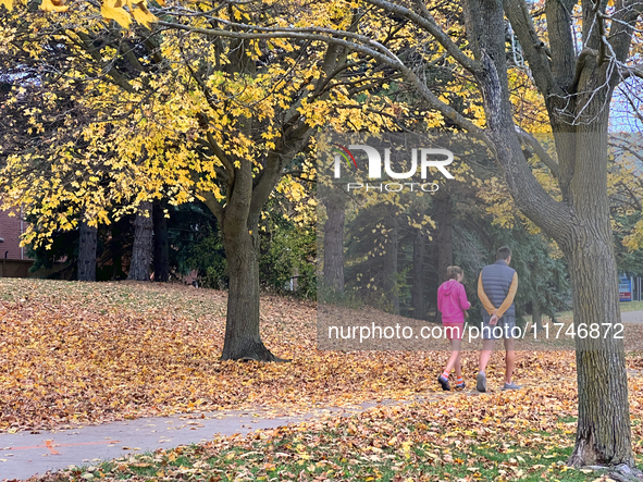 People wear shorts and walk in a park among colorful trees during the autumn season in Toronto, Ontario, Canada, on November 5, 2024. Toront...