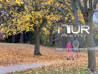 People wear shorts and walk in a park among colorful trees during the autumn season in Toronto, Ontario, Canada, on November 5, 2024. Toront...