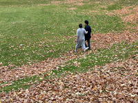 People walk in a park among colorful leaves during the autumn season in Toronto, Ontario, Canada, on November 5, 2024. Toronto breaks a 65-y...